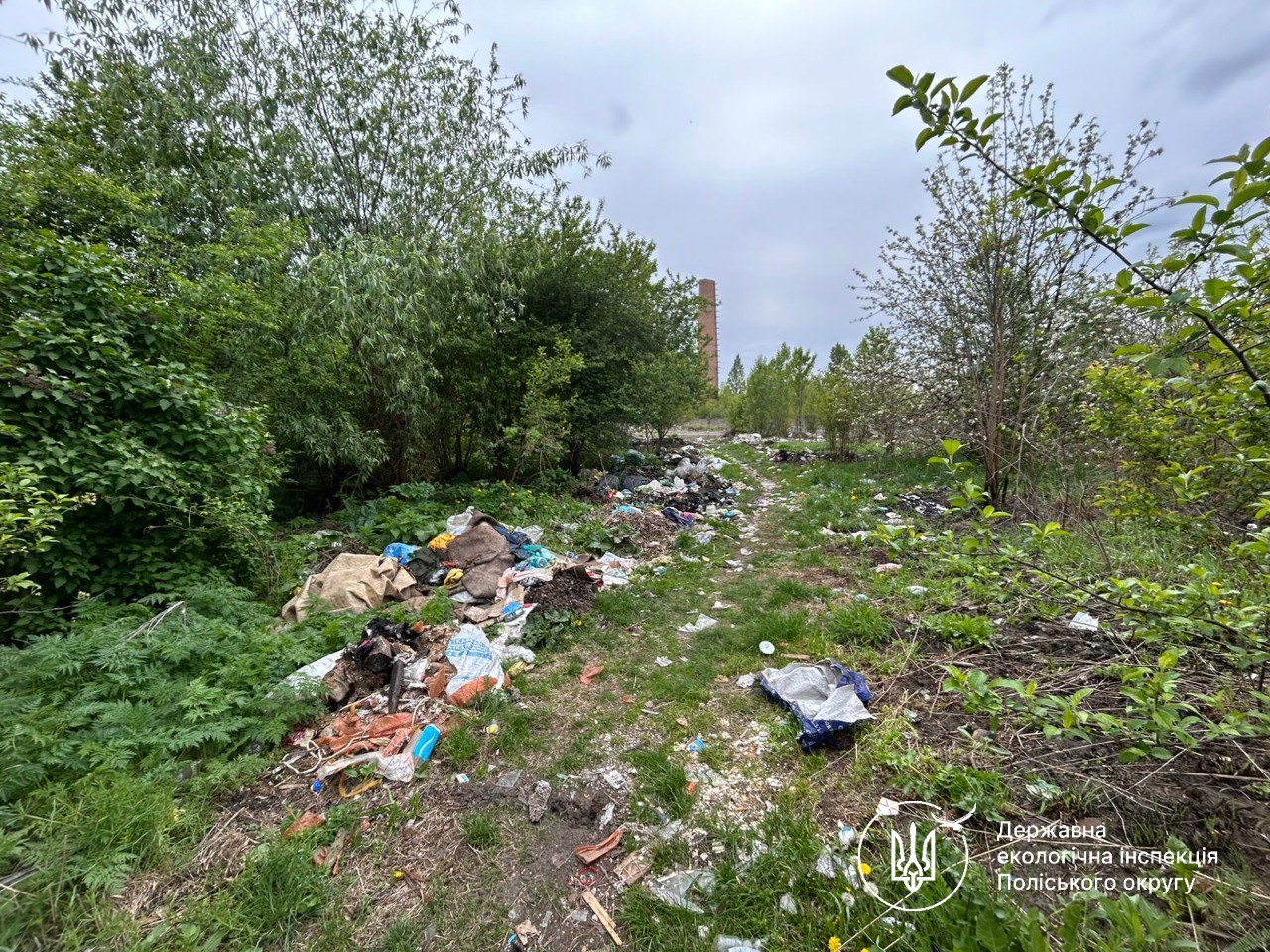 У Житомирі гори сміття «загубились» поблизу дороги на сміттєвий полігон